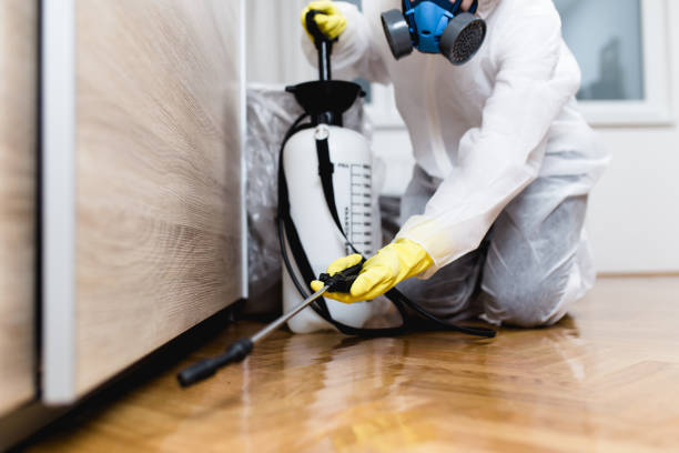 Best Local Pest Control Services  in Woodbine, NJ