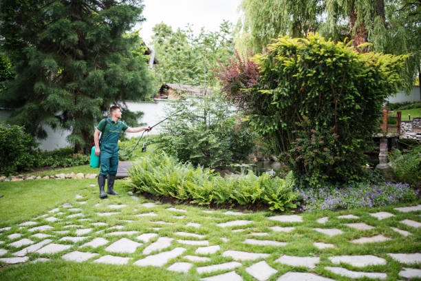 Best Local Pest Control Services  in Woodbine, NJ