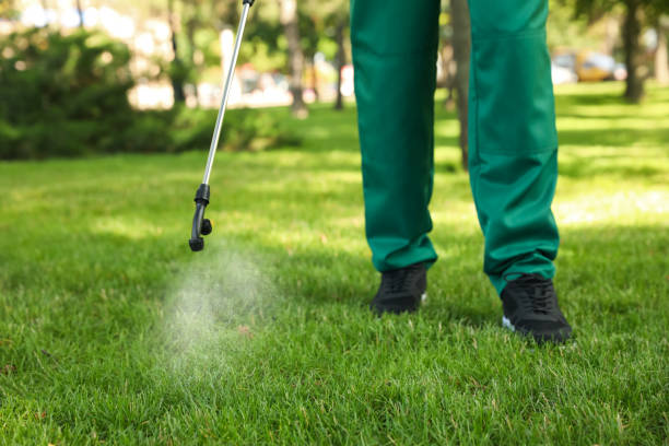 Pest Prevention Services in Woodbine, NJ