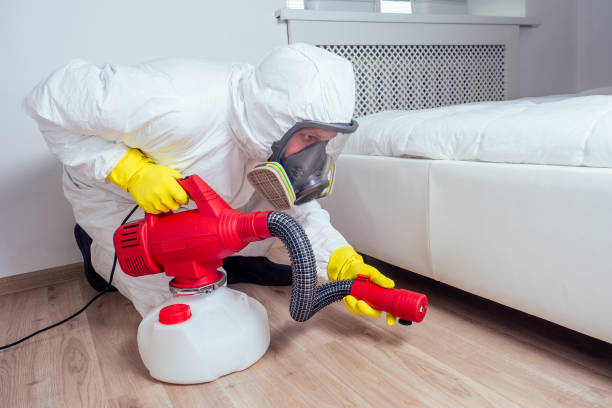 Reliable Woodbine, NJ Pest Control Solutions