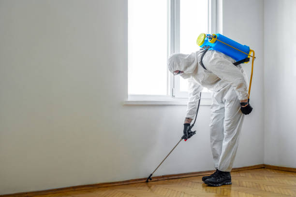 Best Exterminator Services  in Woodbine, NJ
