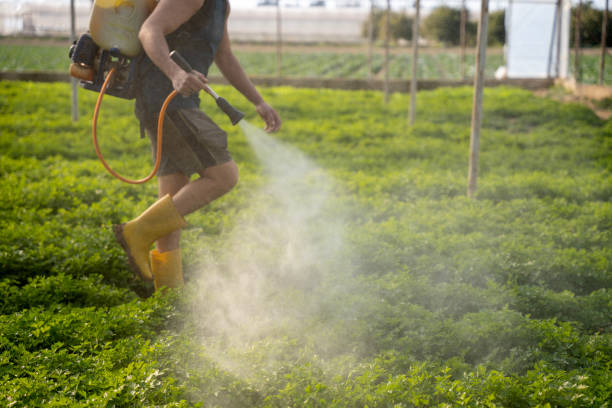 Pest Control for Restaurants in Woodbine, NJ