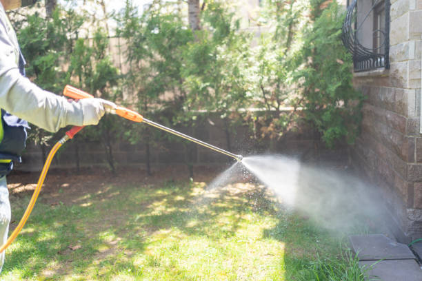 Best Pest Prevention Services  in Woodbine, NJ