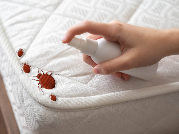 Best Residential Pest Control  in Woodbine, NJ