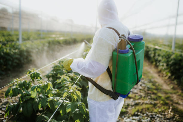 Best Affordable Pest Control Services  in Woodbine, NJ